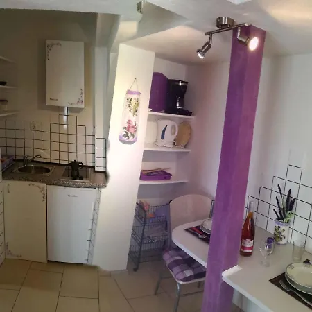 Studio In Rovinj/istrien 11718 公寓 罗维尼