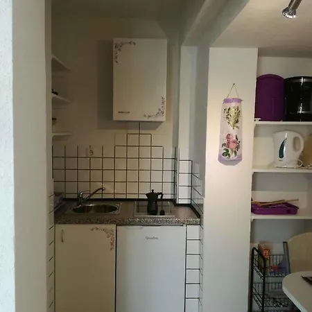 公寓 Studio In Rovinj/istrien 11718