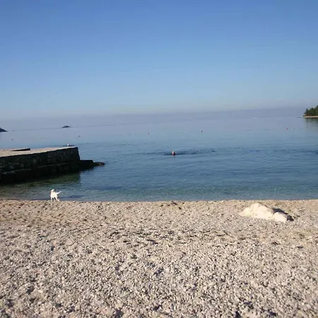 公寓 Studio In Rovinj/istrien 11718 罗维尼
